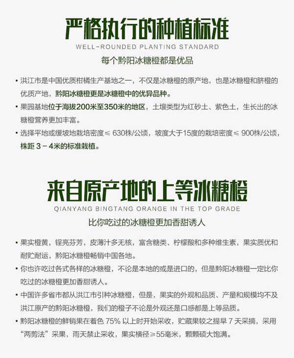 黔阳冰糖橙